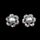 Fashion Silver Pearl Earrings / Sunshine Real Pearl Earrings Beads Jewelry For Women