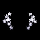 Leaves Tree’s Leaf Real 925 Silver Earrings With Cubic Zircon Stone